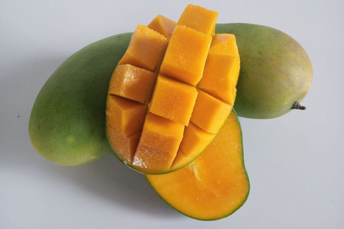 mangga matang, Mangga matang, cara memilih mangga matang, mangga manis, mangga bagus, ciri mangga bagus, Cara Memilih Mangga Matang dan Manis, Seperti Ini Ciri-cirinya, Cek warna kulit mangga, Cium aroma mangga, Cek permukaan mangga, Cek berat mangga, Bagaimana jika mendapatkan mangga yang belum matang?