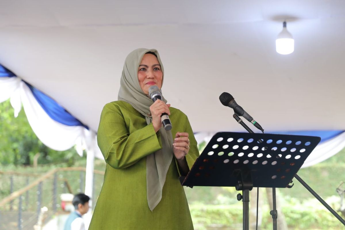 Hellyana, Wagub Kepulauan Babel Hellyana, Profil Wagub Babel Hellyana yang Jadi Tersangka Kasus Ijazah Palsu