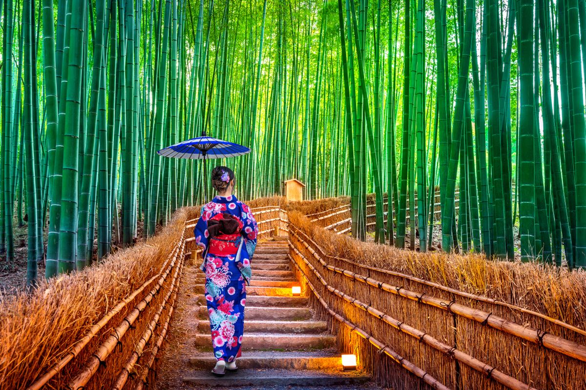 bebas visa jepang, Syarat liburan ke jepang, visa waiver jepang, cara daftar visa waiver jepang, cara registrasi visa waiver jepang, Cara Daftar Visa Waiver Jepang Online, Liburan 15 Hari Tanpa Ribet