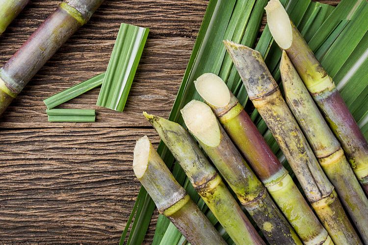 Bahan bakar minyak, bensin, etanol, Etanol di Bensin Sudah Lazim: AS, Eropa, dan Brasil Jadi Contoh