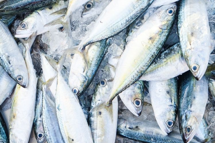 Tekanan darah rendah, meningkatkan tekanan darah, tekanan darah rendah, Makanan untuk Bantu Meningkatkan Tekanan Darah Rendah, 6 Makanan untuk Bantu Meningkatkan Tekanan Darah Rendah, 1. Makanan kaya vitamin B12, 2. Makanan tinggi folat, 3. Makanan asin atau kaya garam, 4. Makanan dan minuman berkafein, 5. Makanan yang mengandung banyak air, 6. Makanan rendah karbohidrat