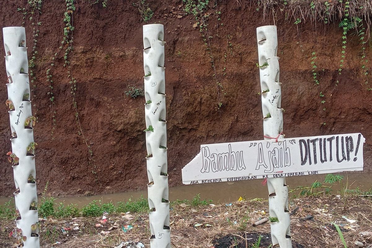bambu, Cianjur, Jawa Barat, keramat, mistis, Mistis, karya seni, Bambu, jawa barat, bambu ajaib, Heboh Bambu “Ajaib” di Cianjur, Keluarkan Air dan Dianggap Keramat, Ternyata Ini Faktanya