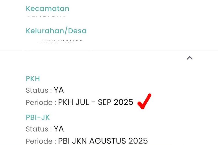 cek bansos, cek bansos PKH, cek bansos pkh 2025, cek bansos bpnt, cek bansos oktober 2025, Cek Bansos Oktober 2025: PKH dan BPNT Tahap 4 Sudah Cair Bulan Ini, Cara Cek Bansos PKH dan BPNT Oktober 2025, Data Penerima Bansos Kini Lebih Tepat Sasaran, Pentingnya Cek Bansos Secara Berkala, Harapan Pemerintah