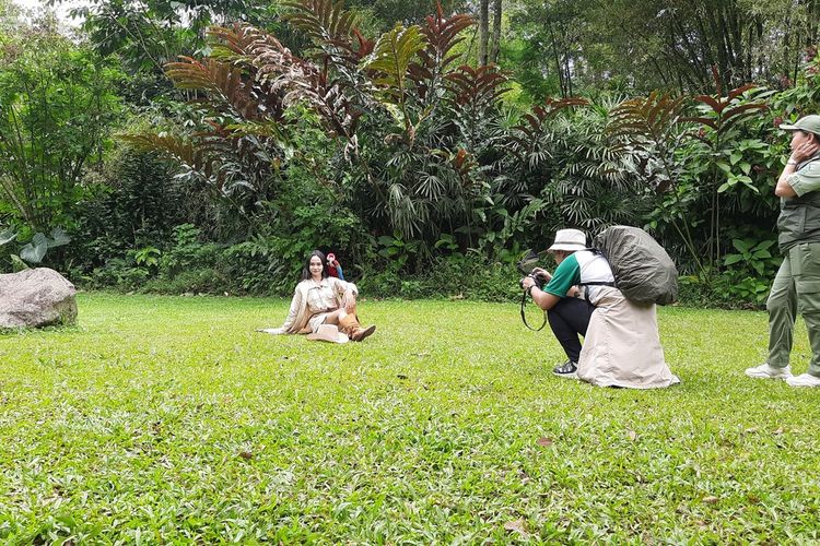 IAPVC, Taman Safari, iapvc 2025, lomba foto taman safari 2025, IAPVC 2025, Lomba Foto dari Taman Safari Berhadiah Ratusan Juta Rupiah, Total hadiah ratusan juta rupiah, Perlu observasi dan kesabaran, Enam kategori IAPVC 2025, Cara daftar IAPVC 2025