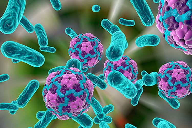 air mentah, Sering Dianggap Remeh, Ini Bahaya Minum Air Mentah, 1. Menyebabkan diare hingga infeksi saluran cerna, 2. Risiko terpapar virus hepatitis A, 3. Kontaminasi logam berat, 4. Penyakit tropis yang menular lewat air, 5. Risiko lebih besar bagi anak-anak dan lansia