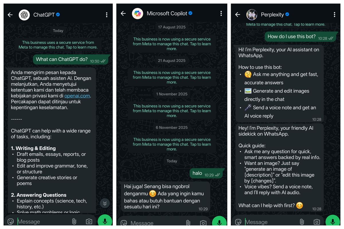 WhatsApp, Meta, ChatGPT, Copilot, chatGPT, Meta Tendang ChatGPT dan Copilot dari WhatsApp