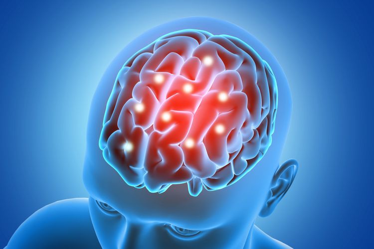 protein, Apa yang Terjadi pada Otak Jika Tubuh Kekurangan Protein, Menurut Ahli Gizi, Peran penting protein bagi otak, Dampak kekurangan protein dalam jangka pendek, Dampak jangka panjang yang lebih serius, Berapa kebutuhan protein harian?