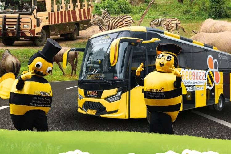 livery bus, bus AKAP, bus pariwisata, naik bus, desain bus, Deretan PO Bus yang Punya Livery Unik, dari AKAP hingga Pariwisata