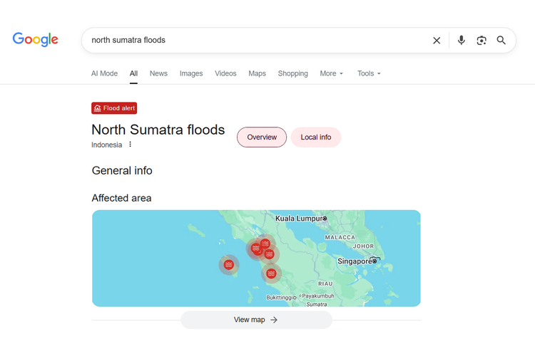 Gemini, banjir, Google, data, Banjir bandang, AI Gemini, Prediksi banjir, Groundsource, AI Google Bisa Prediksi Banjir 24 Jam Sebelum Terjadi