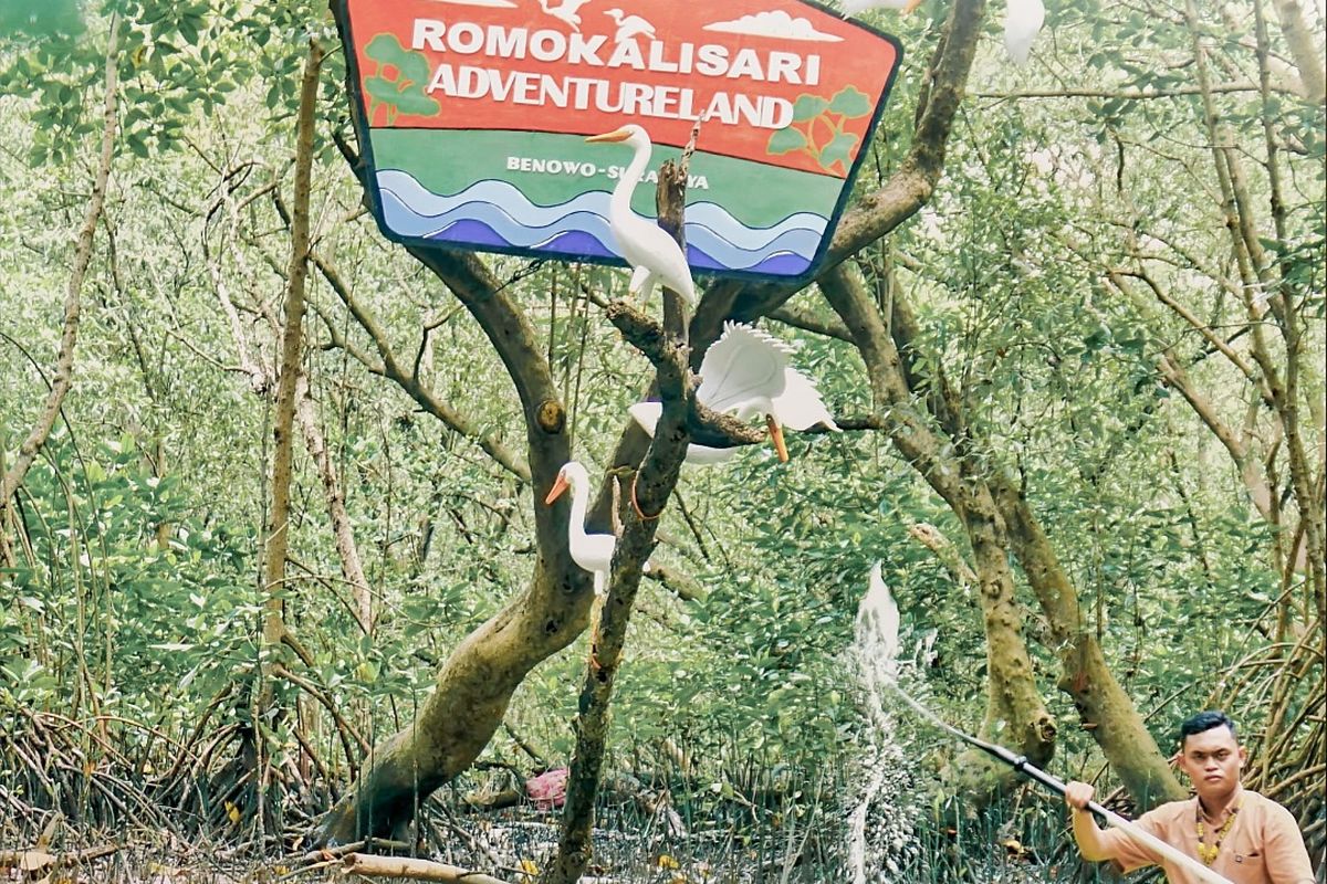 romokalisari adventure land surabaya, wisata anak surabaya barat, tiket masuk adventure land romokalisari, tempat wisata keluarga surabaya, Romokalisari Adventure Land, Wisata Keluarga Seru di Surabaya Barat, Berkuda di Area Alam Terbuka, Menguji Adrenalin dengan ATV, Menyusuri Perairan dengan Kano dan Sekoci, Bermain Sepeda Air dan Jetski, Bertemu Hewan Lucu di Mini Zoo