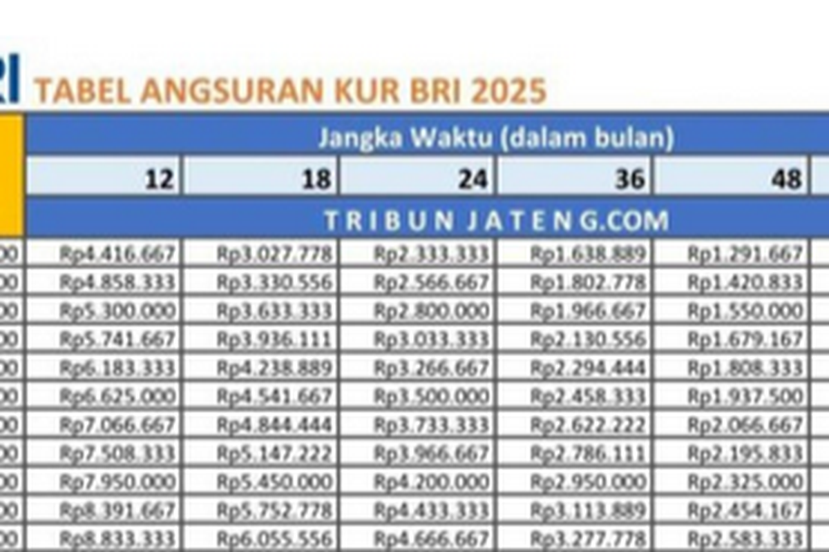 KUR BRI, KUR BRI 2025, tabel angsuran KUR BRI 2025, tabel angsuran KUR BRI, angsuran kur bni 2025, Tabel Angsuran KUR BRI 2025, Pinjaman Rp 1 Juta–Rp 100 Juta, Simak Cicilannya