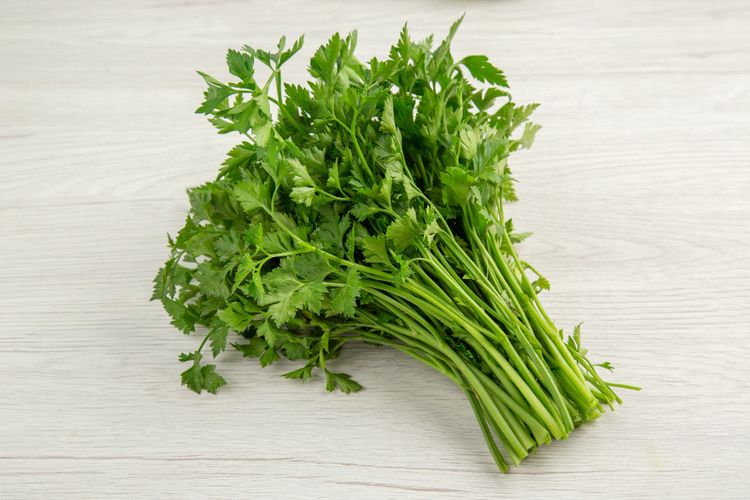 darah tinggi, cara membuat jus seledri, Air rebusan seledri, air rebusan seledri, seledri untuk hipertensi, manfaat seledri, mengolah seledri untuk hipertensi, seledri menurunkan hipertensi, Cara Mengolah Seledri jadi Minuman Penurun Darah Tinggi, Simak!, Jus seledri, wortel, dan celeriac, Air rebusan seledri, Jus seledri dan belimbing wuluh, Jus seledri dan ketimun