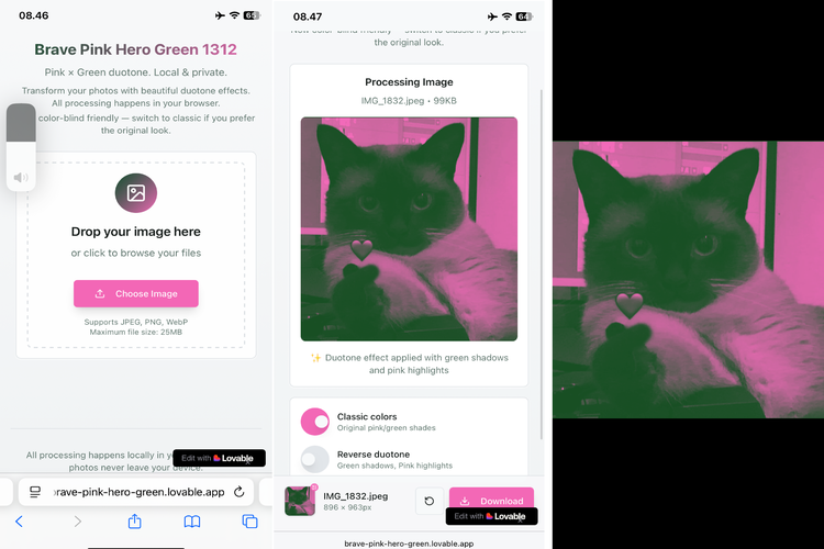 media sosial, 17 8 tuntutan rakyat, Brave Pink, Hero Green, foto profil pink hijau, cara edit foto pink hijau, cara membuat foto pink hijau, arti pink hijau, Viral Foto Profil Pink Hijau di Medsos, Ini Arti dan Cara Membuatnya