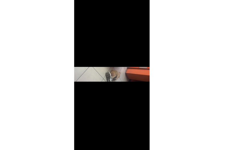 instagram, medsos, Video 5210 x 1080, cara membuat video 5210 x 1080, tren 5210 x 1080, Reels 5210 x 1080, rasio 5210 x 1080, 5210 x 1080, rasio geprek Instagram, Video Rasio Geprek Instagram Lagi Viral, Begini Cara Buat Reels 5210 x 1080
