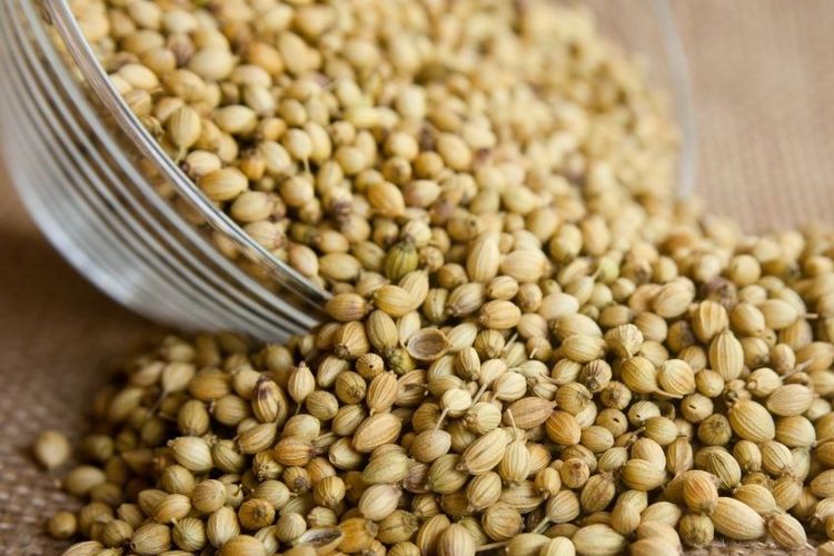 bumbu, rempah, masakan, 12 Bumbu Rempah Ini Wajib Ada di Rak Dapur Anda, Apa Saja?, 1. Merica Hitam Utuh (Whole Black Peppercorns), 2. Jinten (Cumin), 3. Ketumbar (Coriander), 4. Kayu Manis (Cinnamon), 5. Cabai Bubuk Merah (Cayenne Pepper), 6. Paprika Bubuk (Smoked or Sweet Paprika), 7. Cengkeh (Cloves), 8. Pala (Nutmeg), 9. Adas Manis (Fennel Seeds), 10. Bawang Putih Bubuk (Garlic Powder), 11. Kunyit Bubuk (Turmeric), 12. Kapulaga (Cardamom)