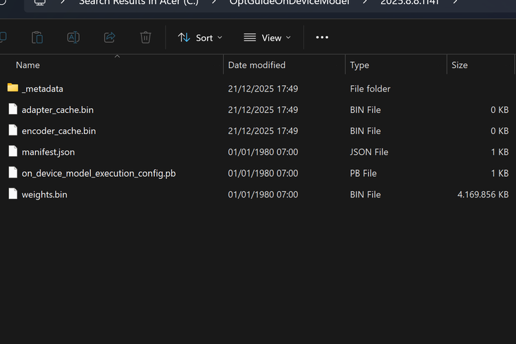 File, Chrome, Google, Saya Cari File AI 4 GB yang Disimpan Chrome Diam-diam, Benar Ada