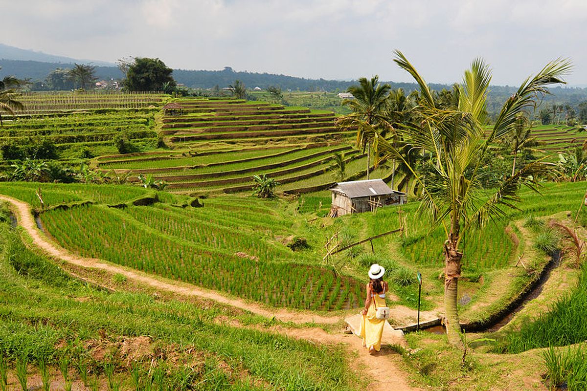 turis asing, hostel, Bali, canggu, turis china ditemukan tak bernyawa di hostel, Misteri Kematian Turis China dan Diare di Canggu, Polisi Ungkap Kronologi