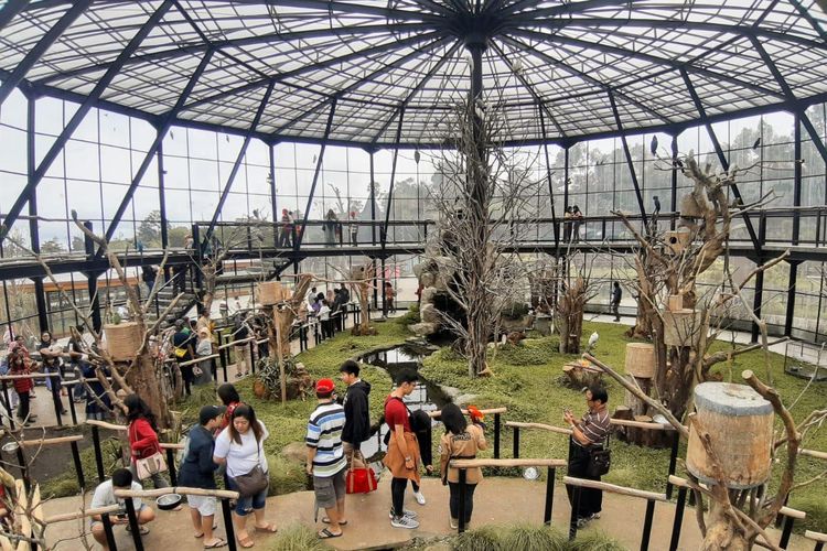 Lembang Park Zoo, Wisata Lembang, jadwal animal show lembang, pertunjukan satwa lembang park zoo, lembang park zoo, Jadwal Animal Show di Lembang Park &amp; Zoo 2025, Catat Jamnya!, Educate About Animals, Hari Senin–Jumat, Sumatra Elephants, Sabtu dan Minggu, Treasure in Wonderland, Sabtu Pagi dan Sore, Treasure in Wonderland, Minggu Pagi dan Sore