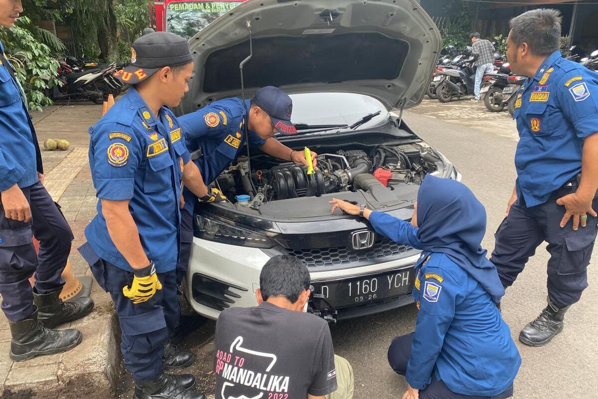 kucing, kap mesin, kucing di dalam kap mesin mobil, kucing di dalam mobil, Pengendara Motor Temukan Anak Kucing di Ruang Mesin Mobil