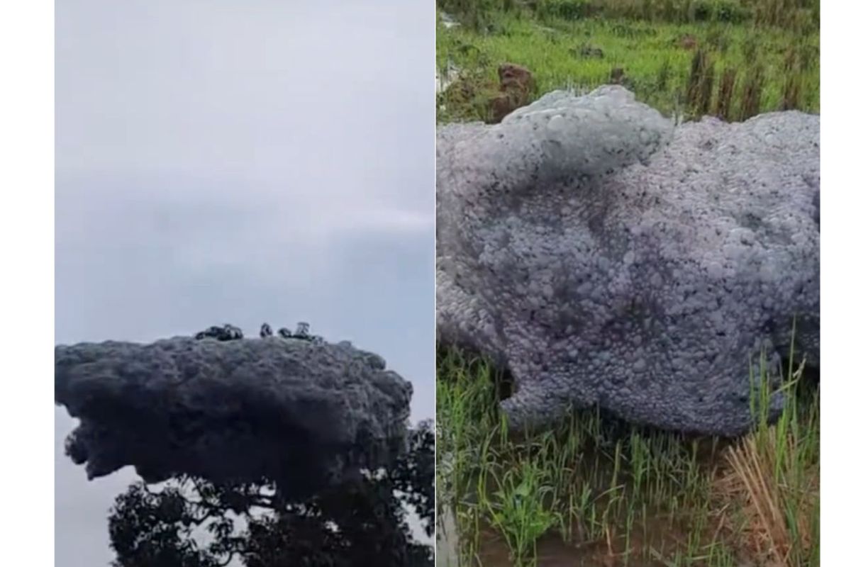 fenomena, limbah pabrik, awan hitam, pabrik di Karawang, busa hitam, awan hitam di Subang, Kapolsek Patokbeusi, Awan Hitam di Subang Berasal dari Pabrik di Karawang, Apakah Beracun?