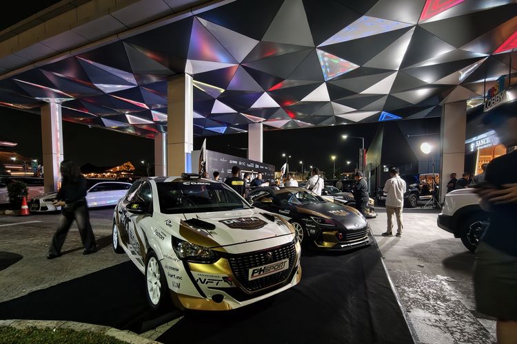 Dewa United Motorsports, Juara Nasional, kancah internasional, Dewa United Motorsports: dari Rally hingga F4