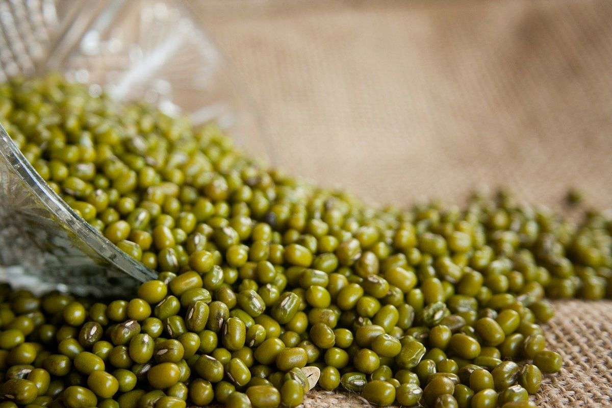 kacang hijau untuk ibu hamil, mitos kehamilan, mitos ibu hamil, manfaat kacang hijau, mitos ibu hamil makan kacang hijau, mitos tentang kehamilan di masyarakat, manfaat kacang hijau untuk ibu hamil, manfaat kacang hijau untuk bayi, makan kacang hijau saat hamil, kacang hijau bikin rambut bayi lebat, Mitos atau Fakta, Bumil Makan Kacang Hijau Bikin Rambut Bayi Lebat?, 1. Asam folat, 2. Protein, 3. Kalsium dan fosfor, 4. Serat, 5. Rendah lemak, 6. Mengembangkan otak bayi, 7. Mencegah berat badan lahir yang rendah