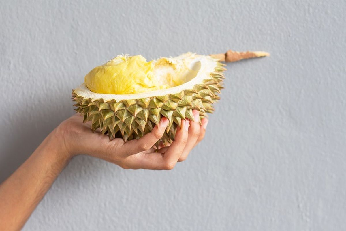 durian, makan durian, Bolehkah Anak Balita Makan Durian? Ini Panduan Dokter Anak