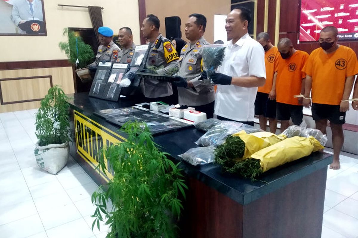 Blitar, ladang ganja, ladang ganja di blitar, ladang ganja blitar, 7 Fakta Ladang Ganja di Blitar, Dibudidayakan 2 Tahun hingga Ada 820 Batang di Pekarangan, 1. Dibudidayakan Selama 2 Tahun, 2. Total 820 Batang Ganja Disita, 3. Dijual dalam Bentuk Kering dan Tanaman Hidup, 4. Terungkap dari Kasus Penyerangan Mapolres Blitar Kota, 5. Disamarkan sebagai Tanaman Cabai dan Jamu, 6. Lokasi Rumah di Jalan Buntu, Sulit Terpantau Warga, 7. Sosok SA: Sopir Sayur, Pendatang dari Malang