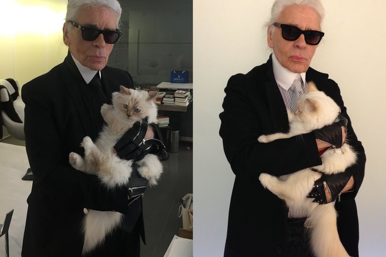 Choupette, Fendi, Kisah Choupette, Kucing Karl Lagerfeld yang Dapat Warisan Triliunan Rupiah