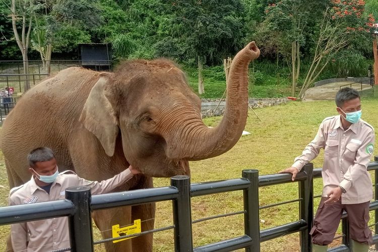wisata keluarga lembang, rute menuju lembang park zoo, jalur tercepat ke lembang zoo, akses lembang park zoo bandung, Rute Menuju Lembang Park & Zoo