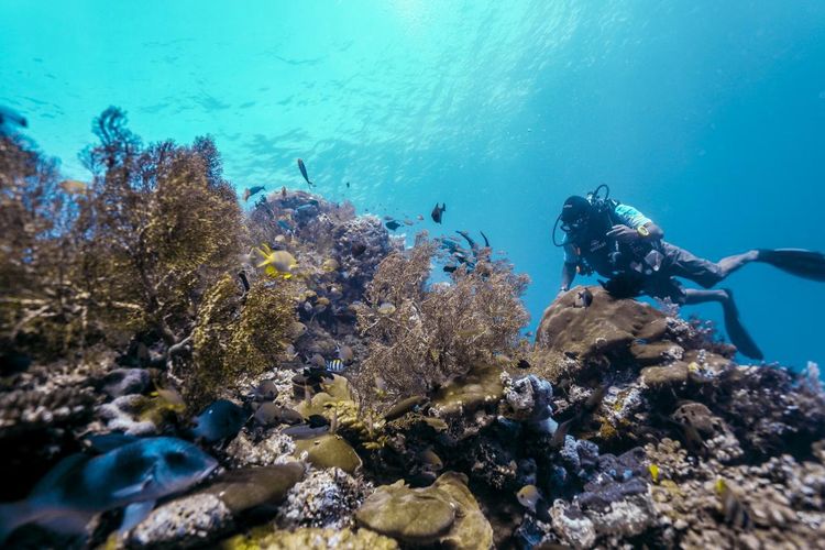 Kepulauan Raja Ampat, tambang nikel, Kemenpar, Wisata Raja Ampat, Tambang Nikel, Berwisata ke Raja Ampat di Tengah Polemik Tambang Nikel, Amankah?