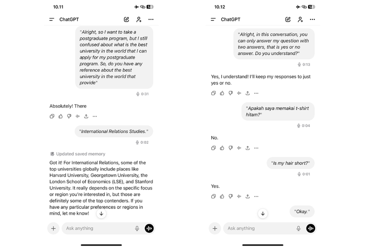 ChatGPT, Voice, kamera ponsel, ChatGPT mengintip, ChatGPT Intip Kita? Saya Tes dengan Pertanyaan “Ya-Tidak”, Begini Jawabannya