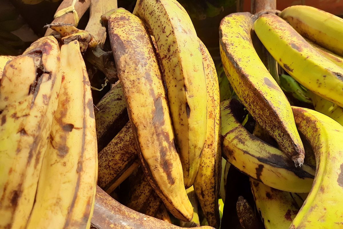 TasteAtlas, Pisang Goreng, 5 Makanan olahan Pisang Terbaik di Dunia, Ini Juara Pertamanya