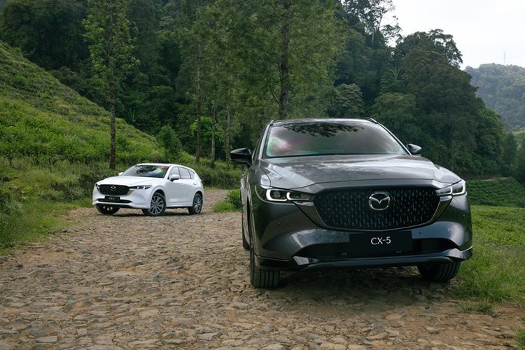 Vietnam, STNK, toyota sienta, pajak kendaraan, mazda cx-5, QR code, Populer Otomotif, Lexus RX 300, artikel terpopuler, motor bensin, biaya kepemilikan, Curhat Pemilik Mazda CX-5, Lexus RX 300 Ketiban Pohon