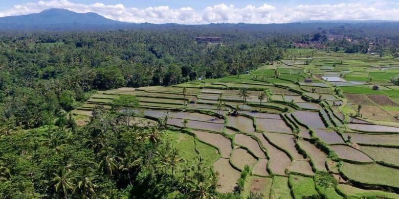 desa di Bali, Desa Penglipuran, Desa Jatiluwih, Rekomendasi 7 Desa di Bali yang Bisa Dikunjungi Jika Bosan Wisata Pantai, 1. Desa Penglipuran, 2. Desa Jatiluwih, 3. Desa Tenganan, 4. Desa di Ubud, 5. Desa Munduk, 6. Desa Batubulan, 7. Desa Trunyan