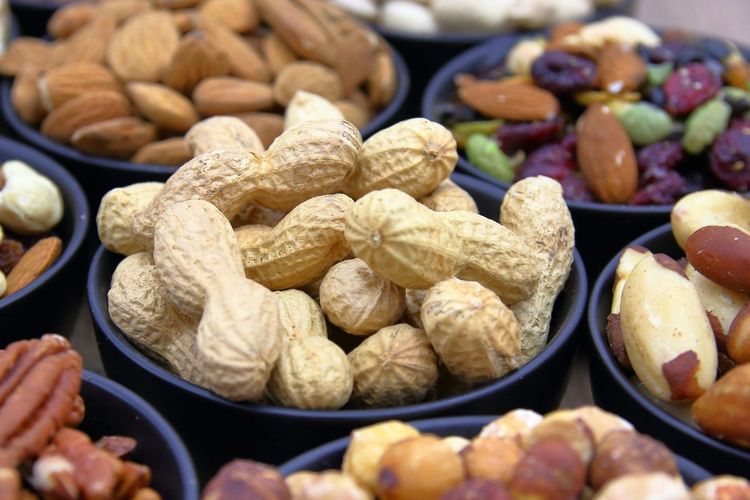 mudik, Ini Makanan Peningkat Stamina Cegah Kantuk Saat Mudik Versi Pakar Gizi IPB, Rekomendasi makanan cegah kantuk selama mudik, Lemak baik, Buah-buahan dan sayur, Tips tambahan