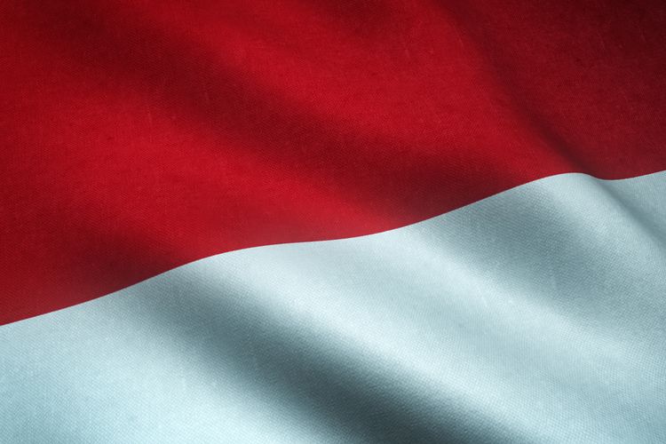 medali emas Indonesia, kontingen Indonesia, Rima Ferdianto, APG 2025, ASEAN Para Games 2025, Indonesia Lampaui Target Emas di ASEAN Para Games 2025, Tembus Tiga Digit