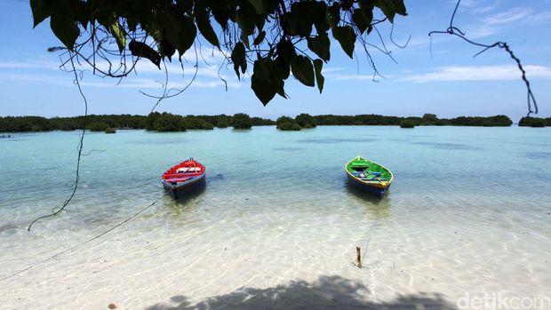 Healing Tanpa Sinyal: Tempat-Tempat yang Bikin Tenang Total, 1. Pantai Pasir Perawan, 2. Kampung Adat Baduy Dalam, 3. Trekking di Sentul , 4. Hutan Mangrove PIK, 5. Kebun Teh Gambung Ciwidey, 6. Telaga Sunyi, 7. Taman Literasi Martha Tiahahu