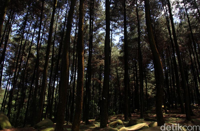 Array,5 Spot Sunrise Terindah Dekat Jakarta untuk Weekend Adventure
