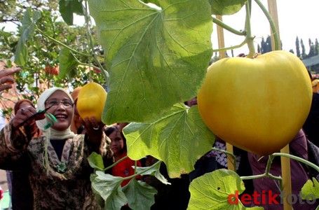 Liburan Keluarga di Cibubur, 8 Wisata Seru dan Instagramable, 1. Trans Studio Cibubur, 2. Taman Buah Mekarsari, 3. Taman Wiladatika Cibubur, 4. Bumi Perkemahan dan Graha Pramuka Cibubur, 5. Telaga Arwana, 6. Funsplash Eldorado, 7. Kidzoona Safari Living World Kota Wisata, 8. Tempat wisata dan kuliner malam