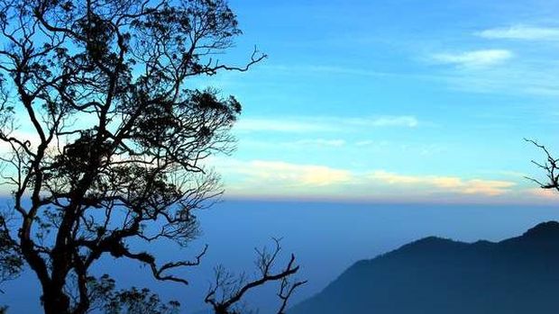 7 Gunung di Jawa Barat untuk Pendaki Pemula, Trek Landai-Panorama Cantik, 1. Gunung Gede, 2. Gunung Papandayan, 3. Gunung Burangrang, 4. Gunung Pangrango, 5. Gunung Guntur, 6. Gunung Putri, 7. Gunung Kerenceng