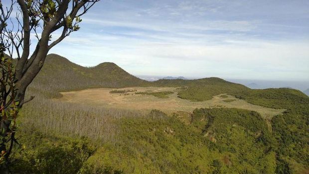 12 Gunung di Indonesia yang Cocok untuk Pendaki Pemula, 1. Gunung Gede-Pangrango (Jawa Barat), 2. Gunung Bromo (Jawa Timur), 3. Gunung Prau (Jawa Tengah), 4. Gunung Kelimutu (Nusa Tenggara Timur), 5. Gunung Papandayan (Jawa Barat), 6. Gunung Andong (Jawa Tengah), 7. Gunung Batur (Bali), 8. Gunung Burangrang (Jawa Barat), 9. Gunung Ijen (Jawa Timur), 10. Gunung Sibayak (Sumatera Utara), 11. Gunung Sindoro, 12. Gunung Tanggamus (Lampung)