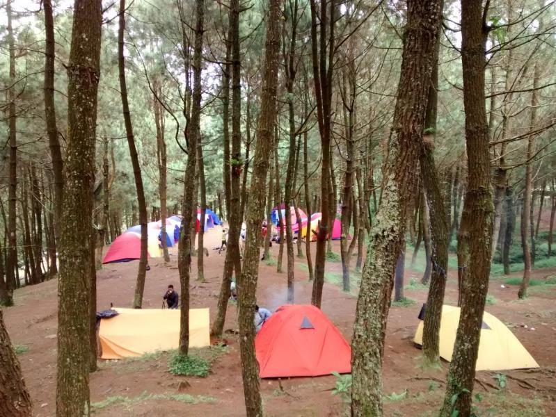 4 Rekomendasi Tempat Wisata Sejuk dan Sepi Dekat Jakarta, 1. Kawasan Sentul, 2. Kawasan Puncak, 3. Gunung Bunder, 4. Kota Bogor