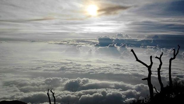 Info Gunung Slamet Jawa Tengah &amp; Jalur Pendakiannya, 1. Toilet, 2. Tempat Ibadah, 3. Basecamp, 4. Tempat parkir, 1. Mendaki Gunung Slamet via Bambangan, 2. Jalur Pendakian Gunung Slamet via Gunung Malang, 3. Jalur Pendakian Gunung Slamet via Penakir, 4. Jalur Pendakian Via Dipajaya, 5. Jalur Pendakian via Baturaden