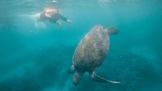 Top 10+ Wisata Alam Terbaik di Indonesia, Tersebar dari Barat ke Timur, 1. Labuan Bajo, 2. Gunung Bromo, 3. Raja Ampat, 4. Kepulauan Derawan, 6. Candi Borobudur, 7. Kepulauan Gili, 8. Danau Toba, 9. Kepulauan Wakatobi, 10. Tanjung Kelayang