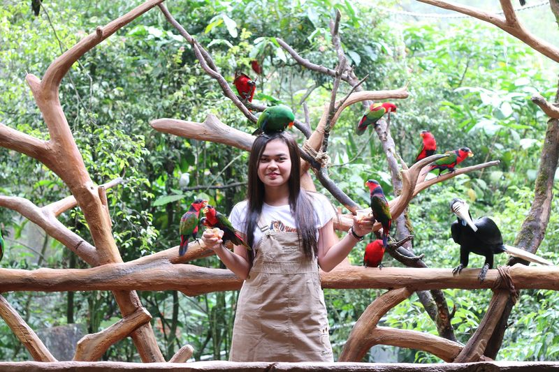 5 Wisata Alam di Jawa Barat yang Bisa Didatangi Pulang Pergi dari Jakarta, 1. Kawasan Kawah Putih, 2. Tangkuban Perahu, 3. Curug Cilember, 4. Kebun Raya Bogor, 5. Taman Safari Indonesia (TSI)