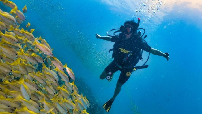 Array,Raja Ampat Terancam Rusak, Ini Alternatif Tempat Diving