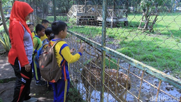 Array,Taman Uncal, Tempat Ngabuburit Murah Meriah di Bandung