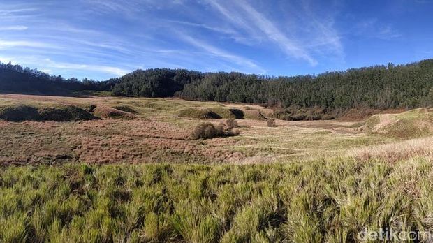 Selain Bukit Warinding di Sumba, Ini Daftar Sabana yang Ada di Indonesia, 1. Sabana Bekol, Jawa Timur, 2. Sabana Gunung Bromo, Jawa Timur, 3. Sabana Dieng, Jawa Tengah, 4. Sabana Puru Kambera, NTT, 5. Sabana Pulau Komodo, NTT, 6. Sabana Pulau Rinca, NTT, 7. Sabana Merauke, Papua Selatan