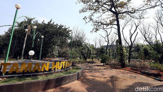 Healing Tipis di Bekasi: Itinerary Sehari Hemat Buat Akhir Pekan, 1. Taman Hutan Kota Bekasi, 2. Deltamas Hill, 3. Pantai Muara Beting, 4. Pantai Mekar, 5. Situ Rawa Gede Kota Bekasi, 6. Trans Snow World Bekasi, 7. Gedung Juang 45 Bekasi